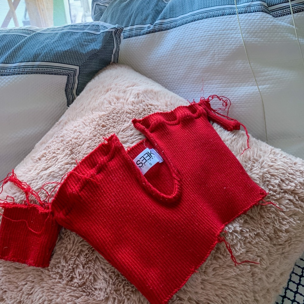 Lf Red Crop Top